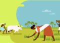 All you need to know about Mahila Samman Saving Certificate
